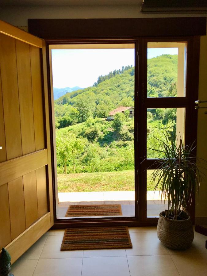 Loft 80 Mts En Un Entorno Natural. Mieres  Exterior photo
